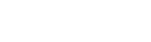 Logo Visendum