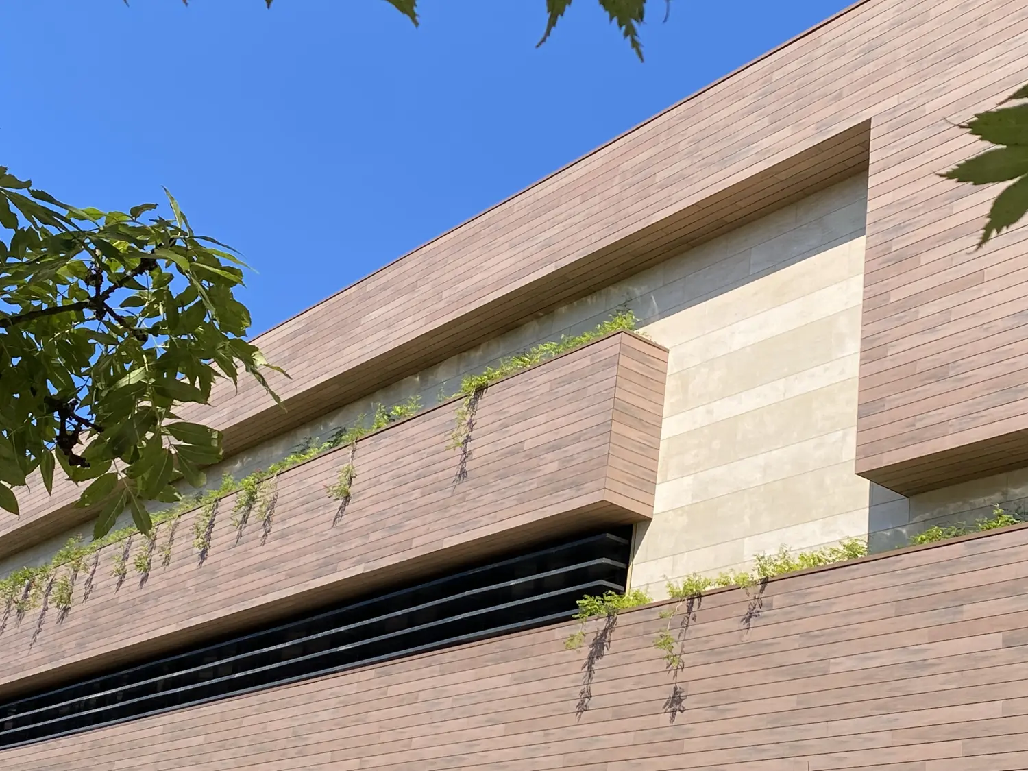 Fachada Centro Comercial