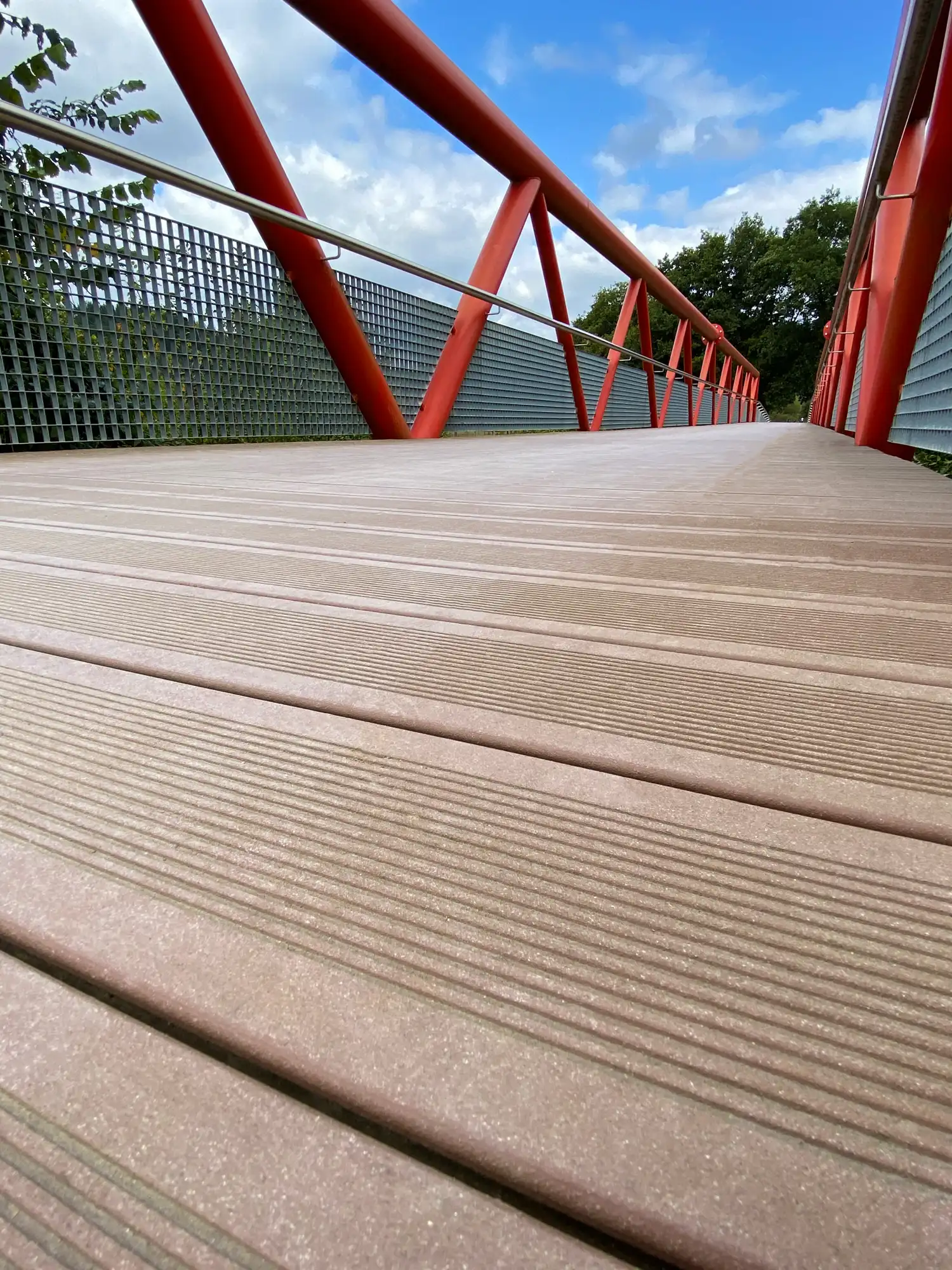 Puente peatonal en parque lineal