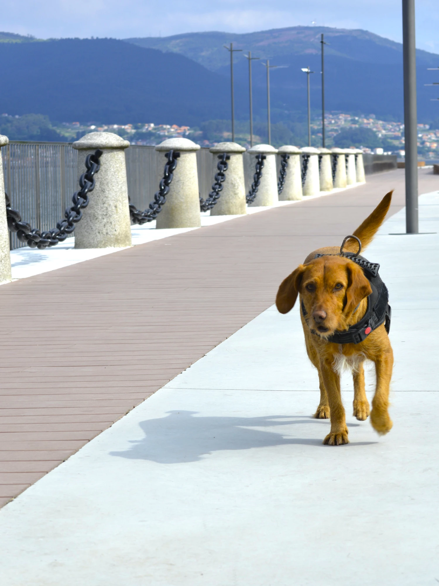 Paseo maritimo Marín